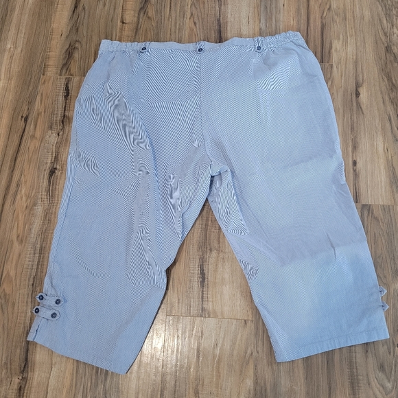 Tradition Image Cropped Pants Size 24W - Picture 4 of 12